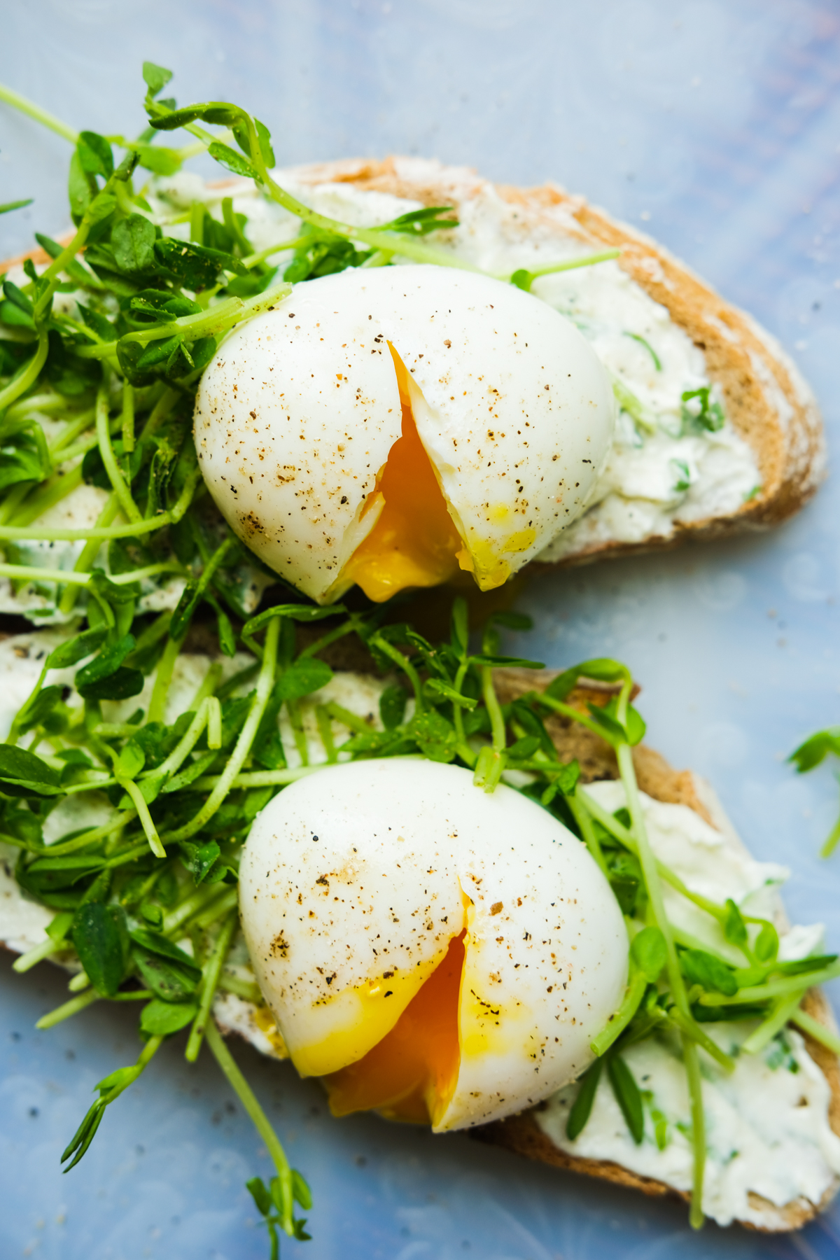 toast with chive cream cheese sprouts and jammy eggs