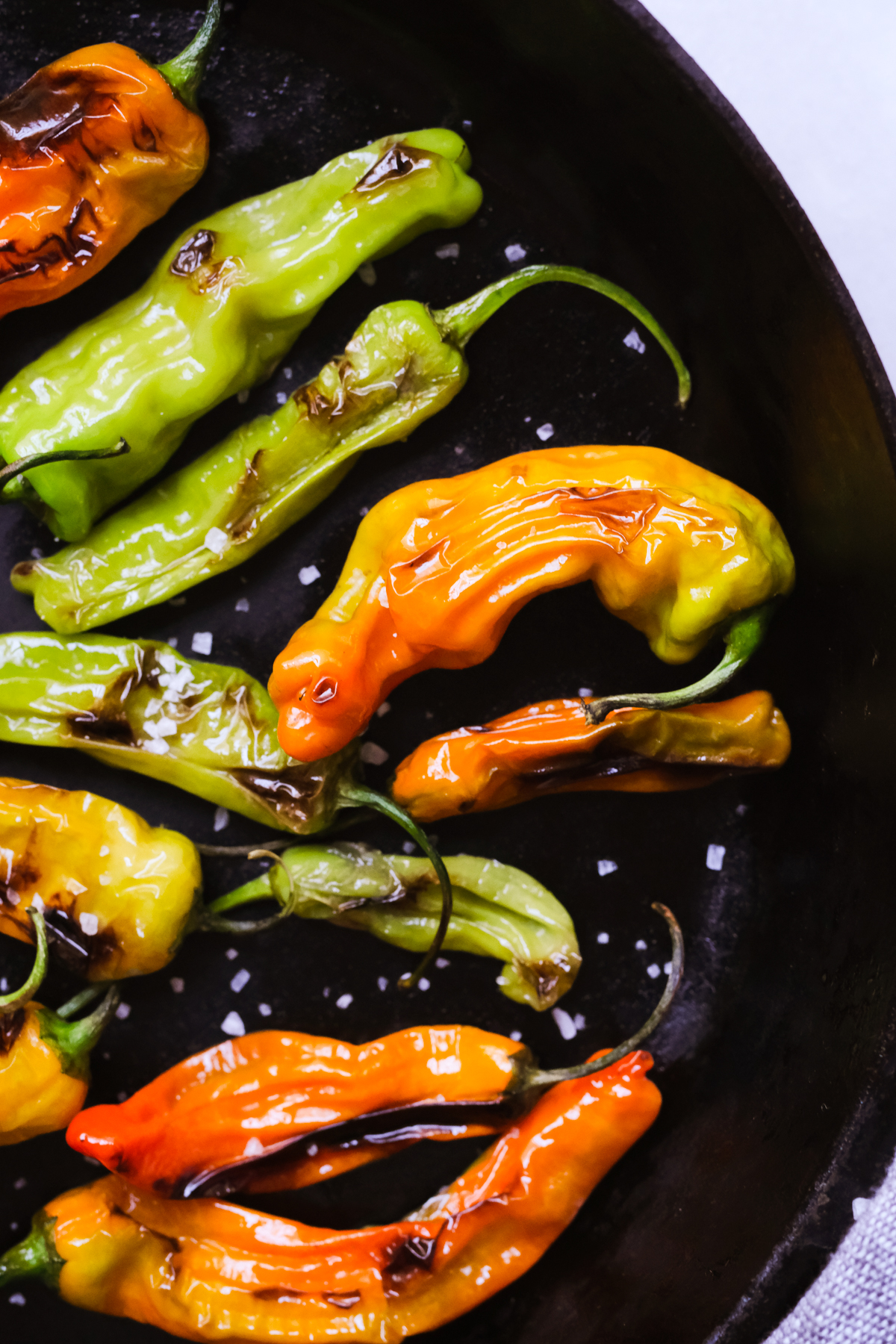 blistered shishito peppers in a skillet