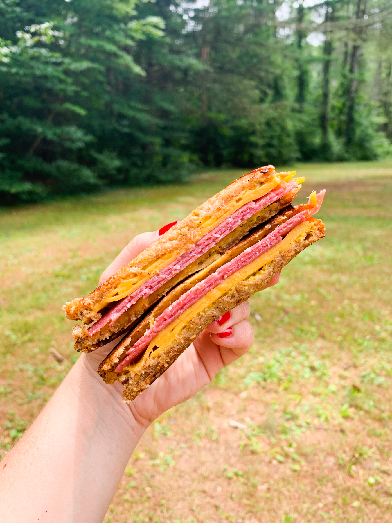 toasted salami grilled cheese sandwich in the woods